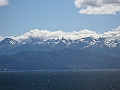Patagonie 459